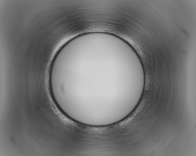 X0000111801086200908201148