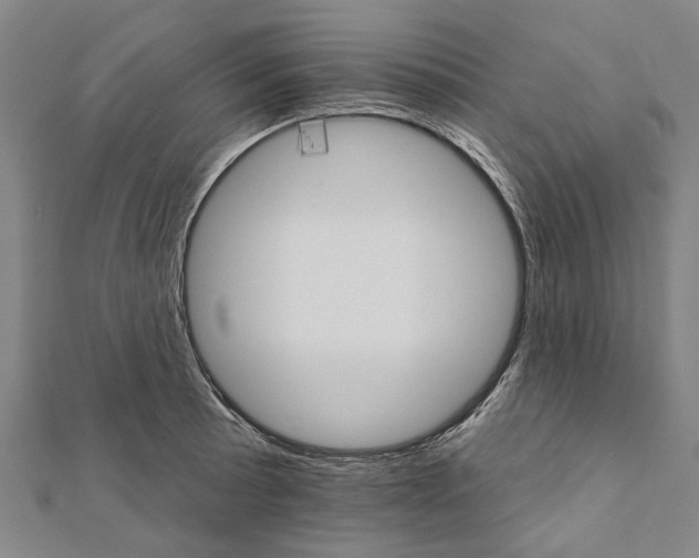 X0000111801089200908201148