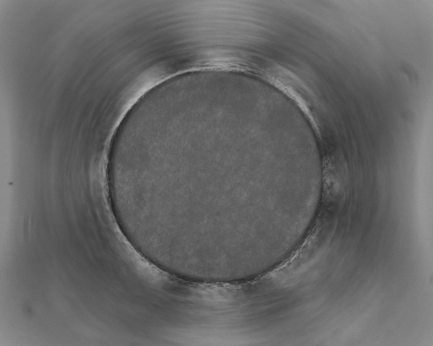 X0000111801091200908201148