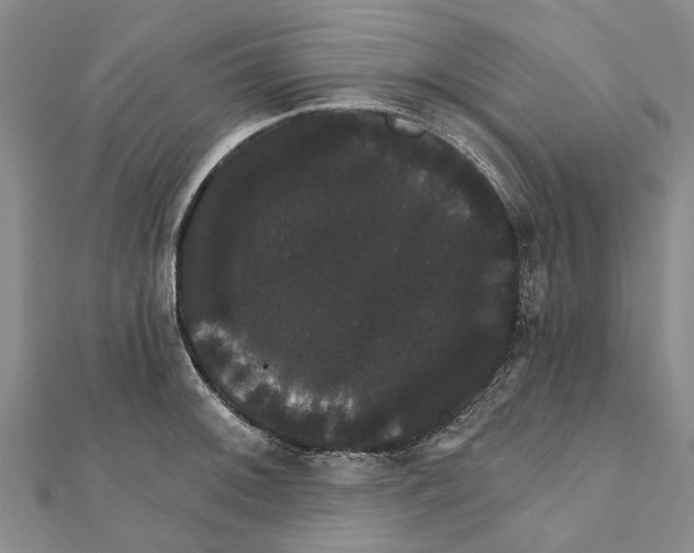 X0000111801092200908201148