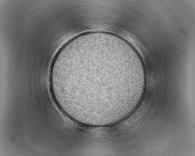 X0000111801093200908201148