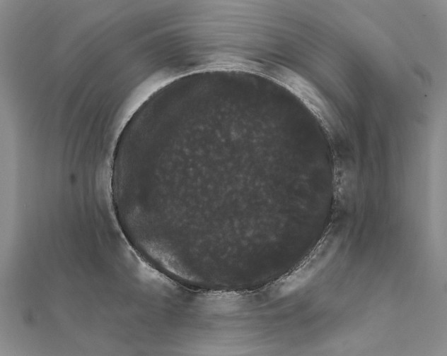 X0000111801094200908201148