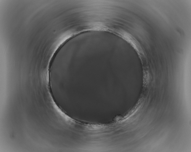 X0000111801095200908201148