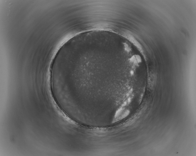 X0000111801096200908201148