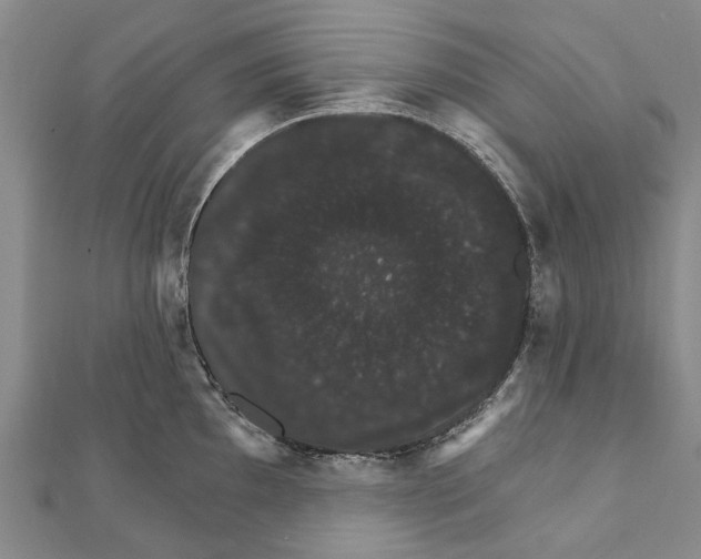 X0000111801097200908201148