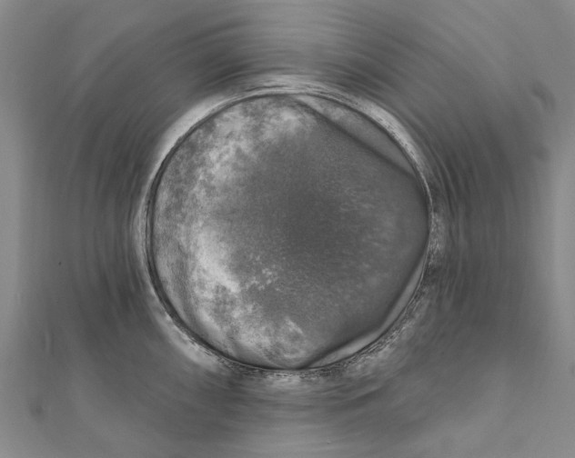 X0000111801098200908201148
