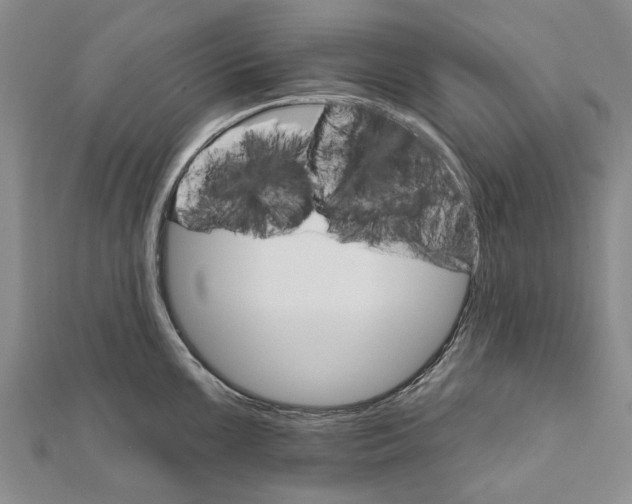 X0000111801099200908201148