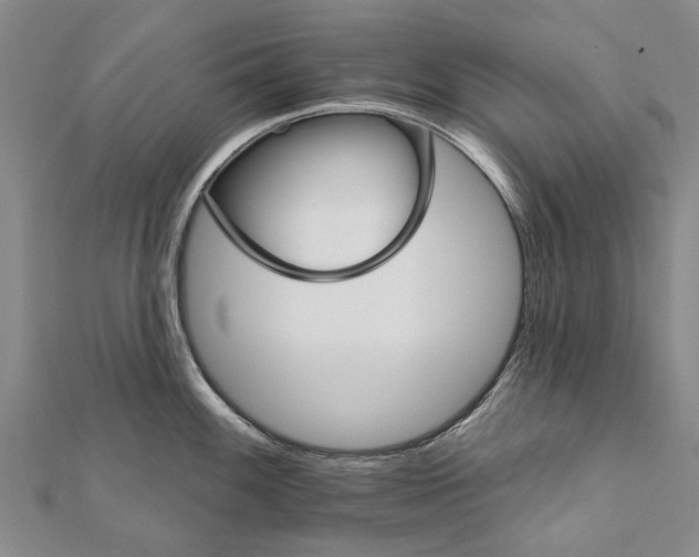 X0000111801100200908201148