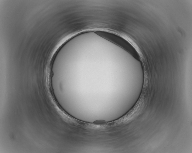 X0000111801101200908201148
