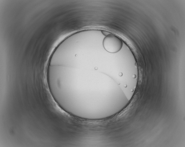 X0000111801102200908201148