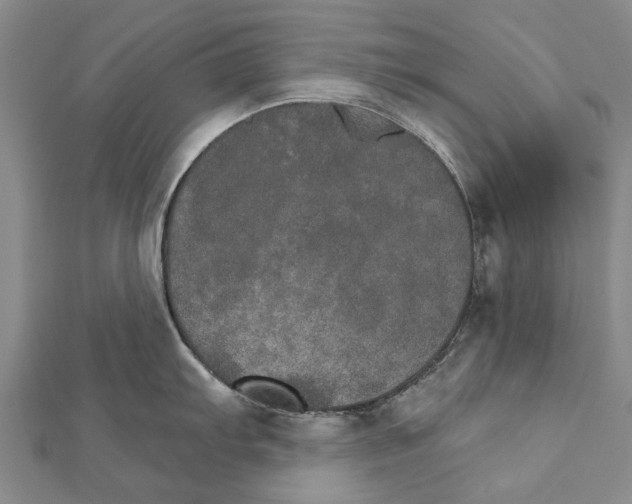 X0000111801103200908201148