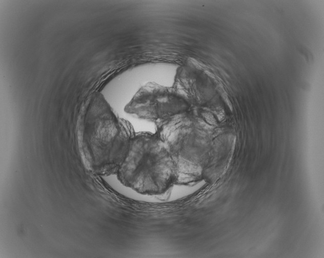 X0000111801105200908201147