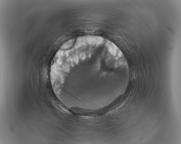 X0000111801106200908201147