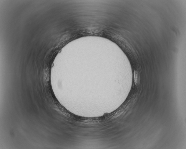X0000111801107200908201147