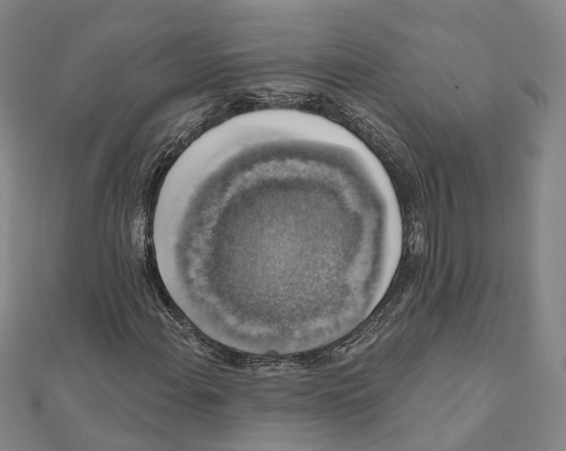 X0000111801108200908201147