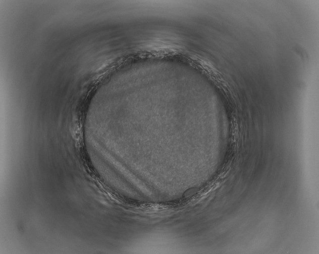 X0000111801109200908201147