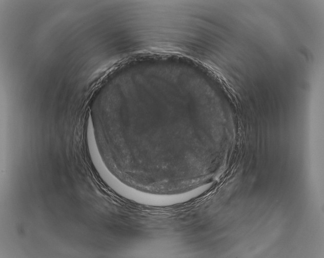 X0000111801110200908201147