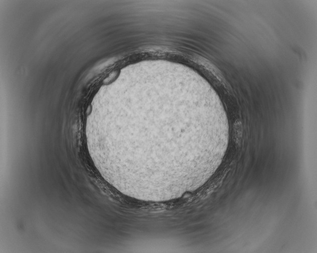 X0000111801111200908201147