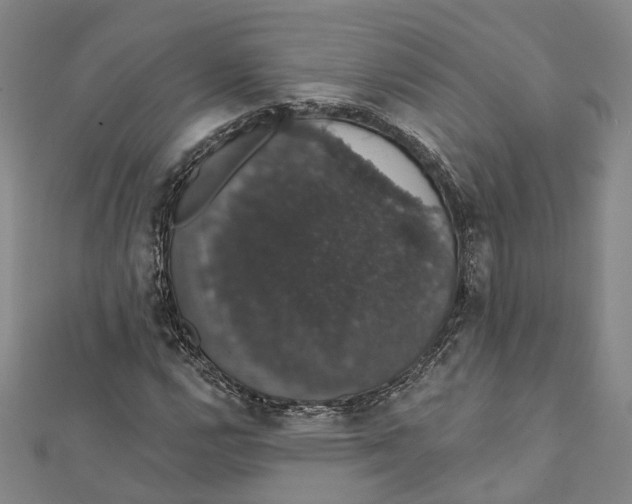 X0000111801112200908201147
