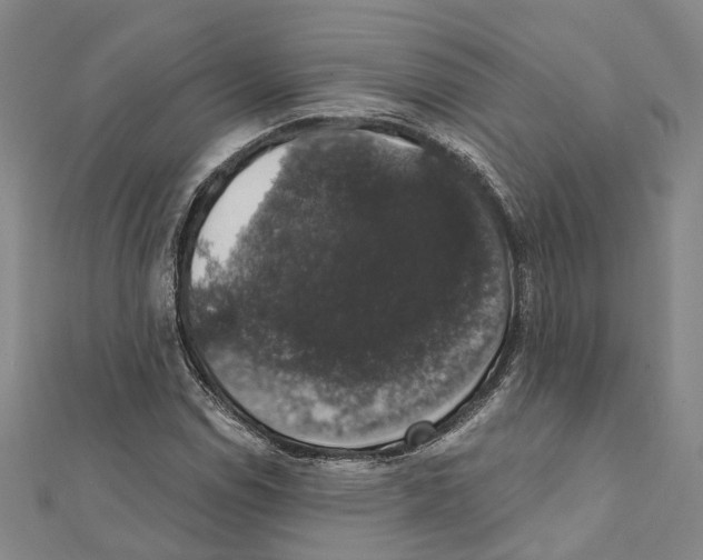 X0000111801114200908201147