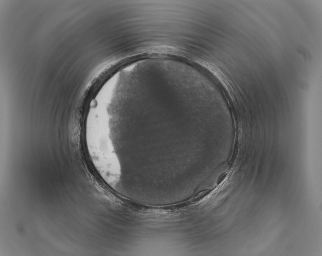 X0000111801115200908201147