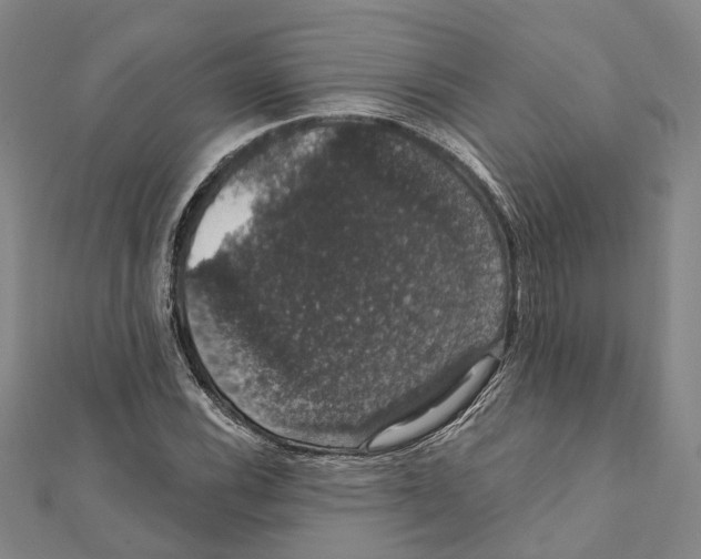 X0000111801116200908201147