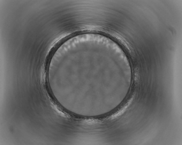 X0000111801117200908201147