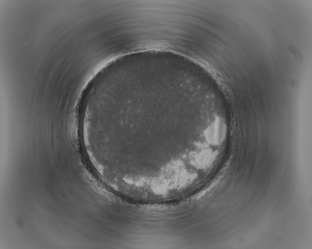 X0000111801118200908201147