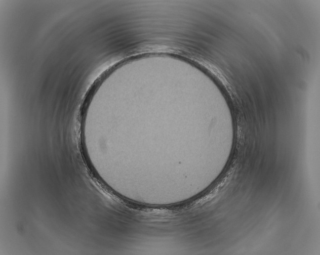 X0000111801119200908201147