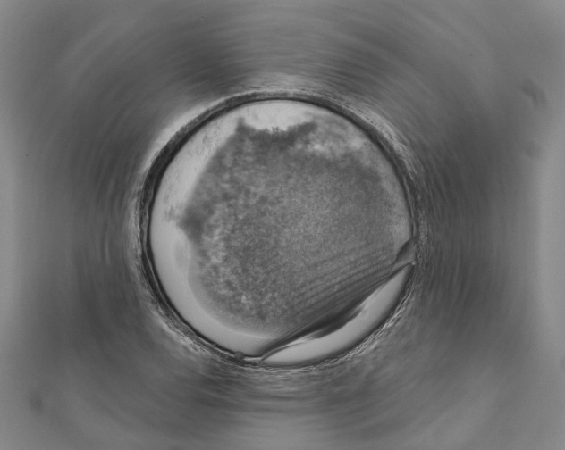 X0000111801120200908201147
