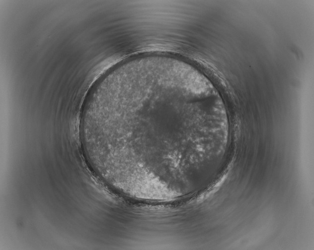 X0000111801121200908201147