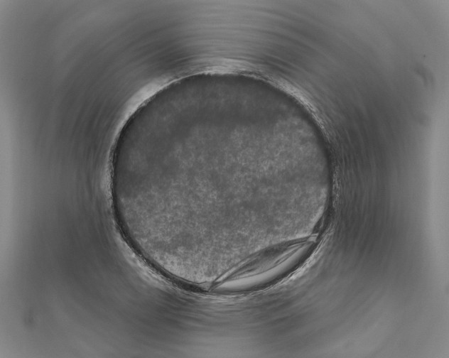 X0000111801122200908201147
