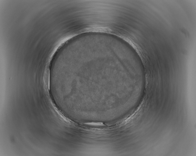 X0000111801123200908201147