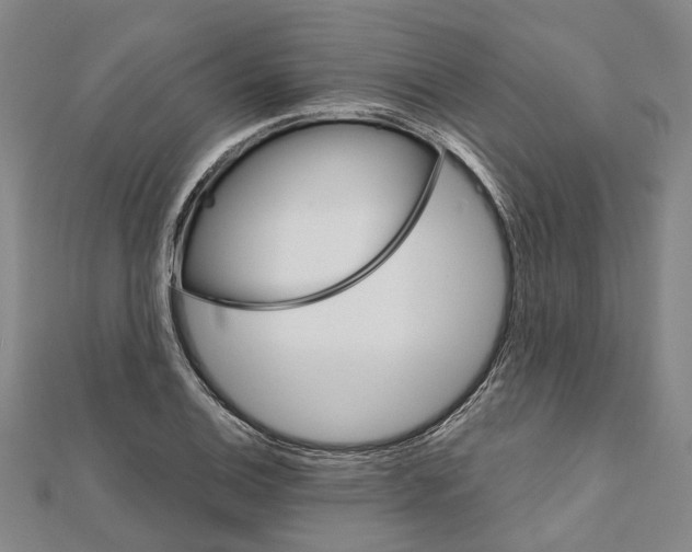 X0000111801124200908201147