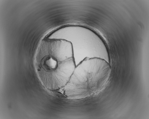 X0000111801125200908201147