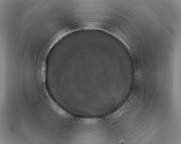 X0000111801126200908201147