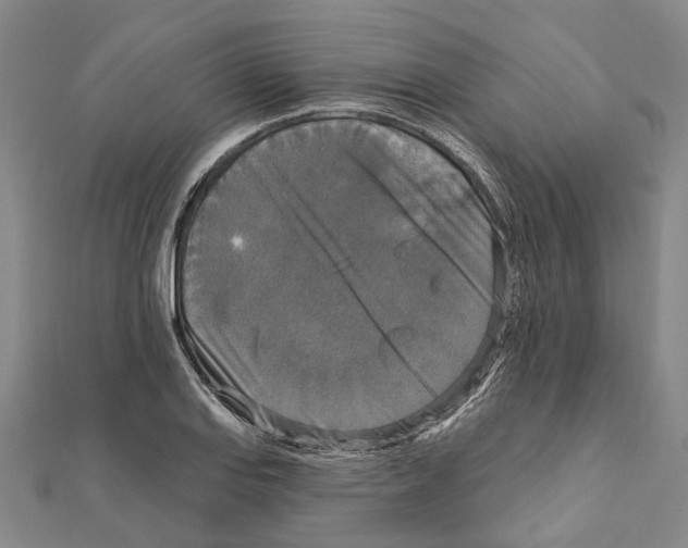 X0000111801127200908201147