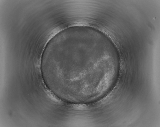 X0000111801129200908201147