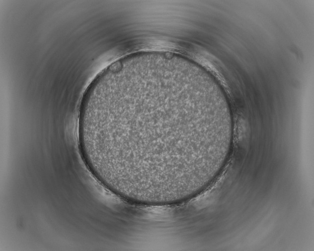 X0000111801130200908201147