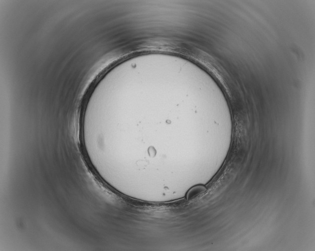 X0000111801131200908201147