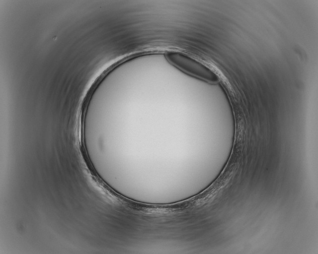 X0000111801132200908201147