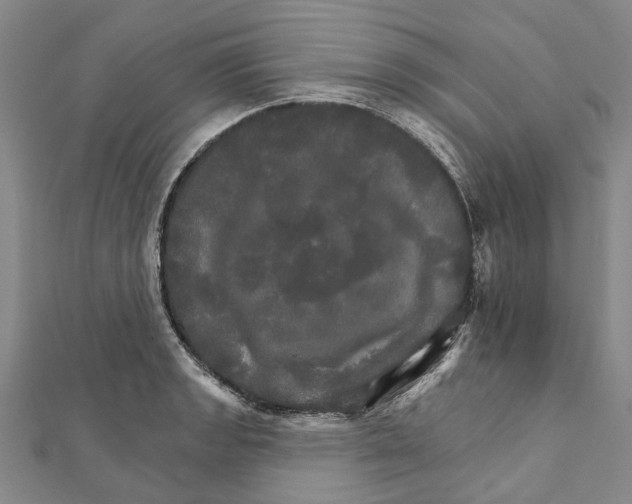 X0000111801133200908201147