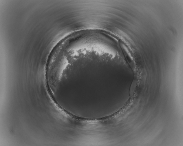 X0000111801134200908201147