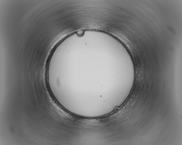 X0000111801135200908201147