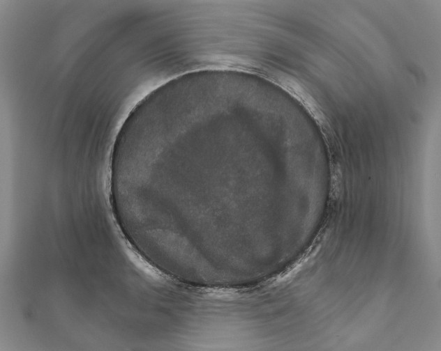 X0000111801136200908201148