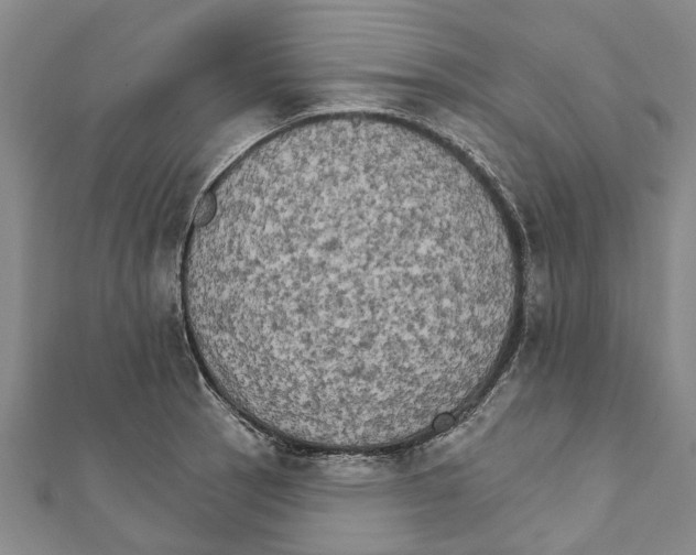 X0000111801137200908201148