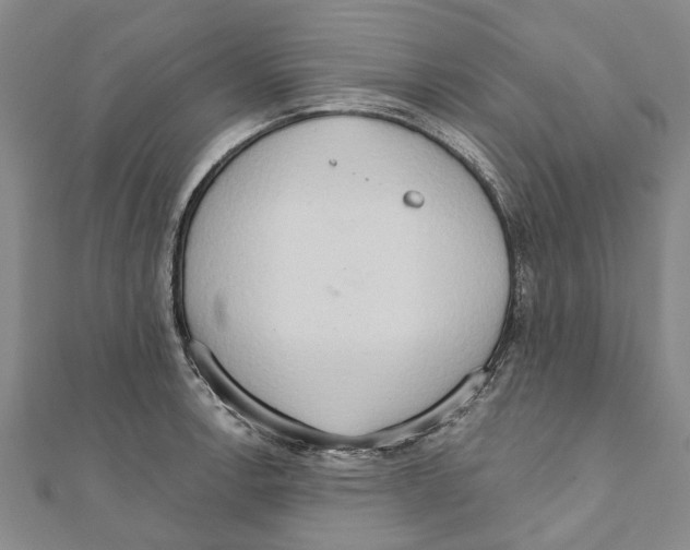 X0000111801138200908201148