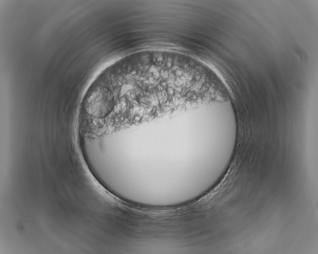 X0000111801139200908201148
