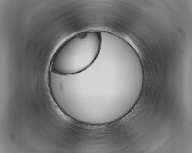 X0000111801140200908201148