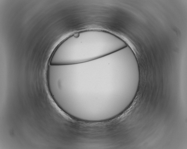 X0000111801142200908201148